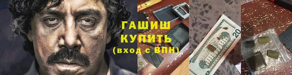 шишки Медвежьегорск