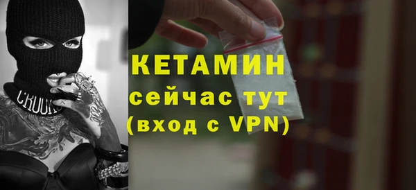 шишки Медвежьегорск