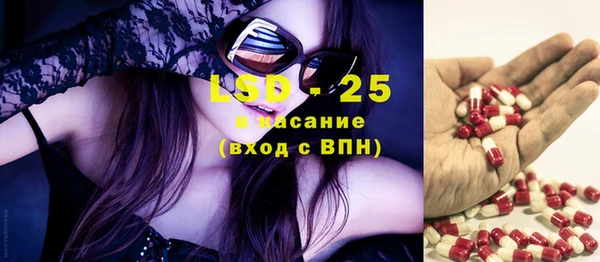 шишки Медвежьегорск