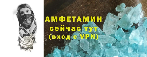 шишки Медвежьегорск