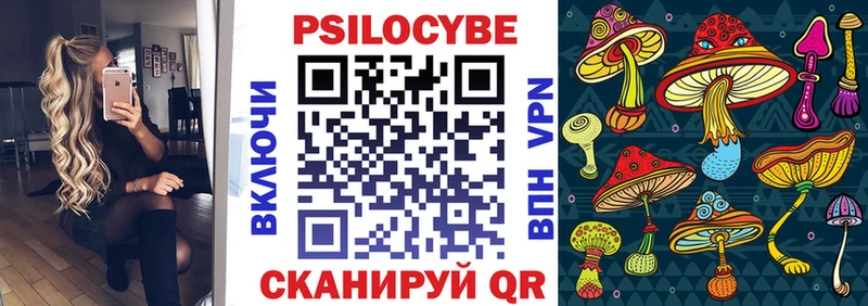 Псилоцибиновые грибы Cubensis Навашино